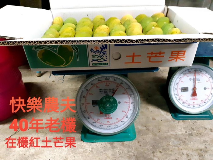 【快樂農夫】三地門 自產自銷 40年老欉 熟成 土芒果 在欉黃