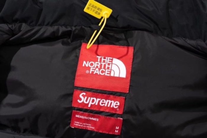 Supreme x the north face 19fw Statue of Liberty 自由女神聯名羽絨