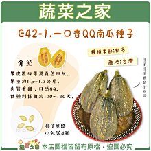 【蔬菜之家滿額免運】G42-1.一口香QQ南瓜種子4顆 // 果皮墨綠帶淺黃色斑紋。果重約1.5~1.7公斤