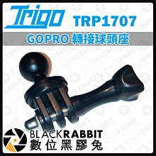 數位黑膠兔【 TRIGO TRP 1707 GOPRO 轉接球頭座 】球頭座 相機 燈座 轉接頭 轉接球 底座
