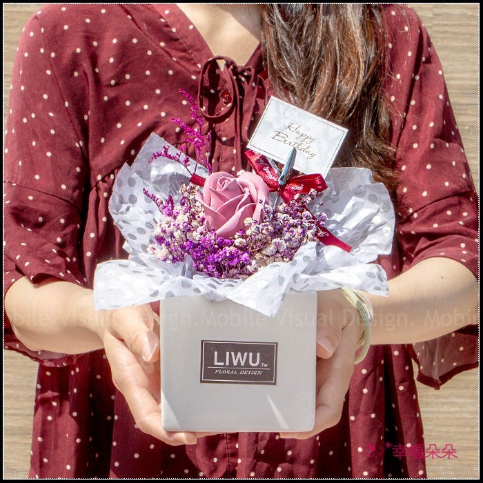 LIWU在你身邊 滿天星 乾燥盆花 開幕誌慶 生日禮物 交換禮物 畢業 母親節禮物(2色可挑)P001