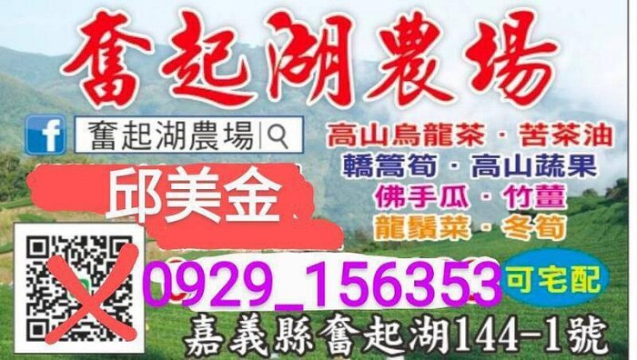 【奮起湖農場】今年新鮮沉水種子 35粒100元 1台斤400元 台灣黑檀種子 毛柿種子