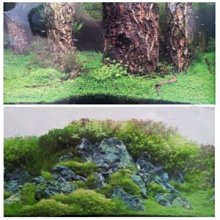 微笑的魚水族☆雙面背景圖【#86/#87樹叢+水草(高度60cm)】單買1尺長售價50元