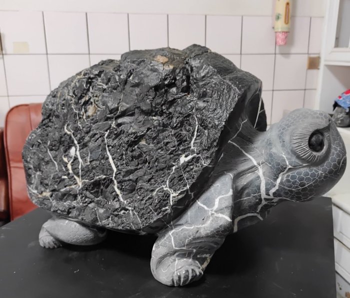 ~春秋樹石~頂級原皮大頭巨龜 平安龜 黃約瑟(K274) | Yahoo奇摩拍賣