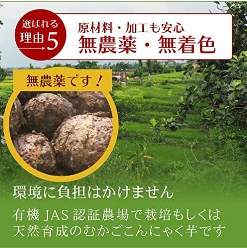 日本 伊豆河童 蒟蒻米 300g 低熱量 低卡 無負擔 白米減醣 膳食纖維 無農藥【水貨碼頭】