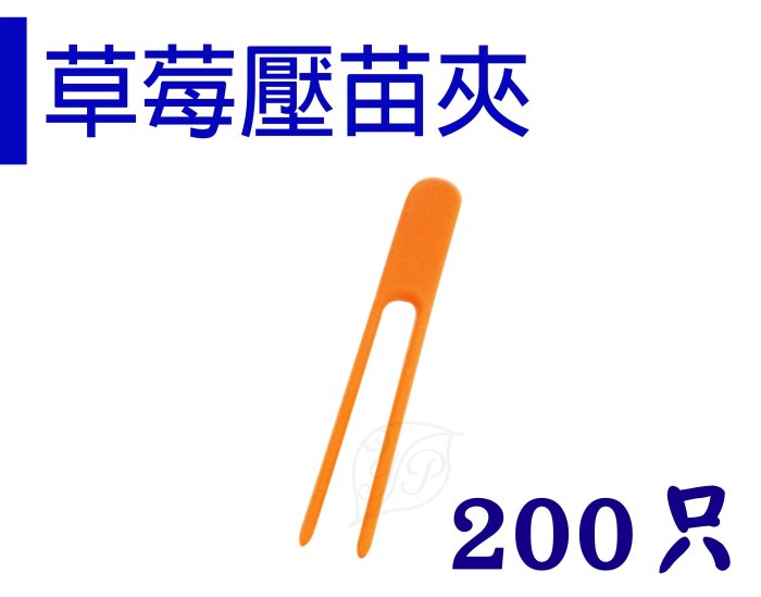 *滿699免運*【JF026-S】植物壓苗 幫助成長 / 草莓壓苗器(200只/組) 【園丁花圃】