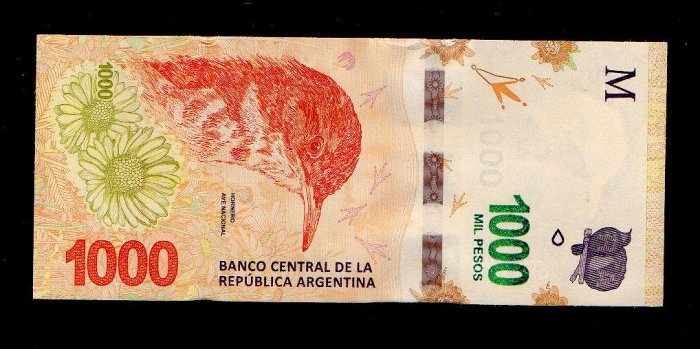 【低價外鈔】阿根廷 (2022)年 1000Pesos 最高面額 紙鈔一枚，棕灶鳥 圖案 RA後期版本字軌 特價中~