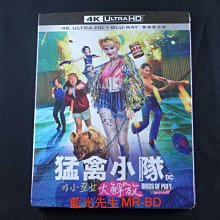 [藍光先生UHD] 猛禽小隊：小丑女大解放 Birds of Prey UHD + BD 雙碟限定版 ( 得利正版