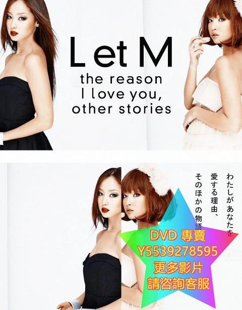 DVD 專賣 L et M我愛你的理由 日劇 2012年