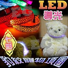L1A27 LED導光豹紋閃光寵物項圈 遛狗神器 狗狗項圈 貓咪項圈 LED發光項圈 (尺寸齊全S//L/XL)