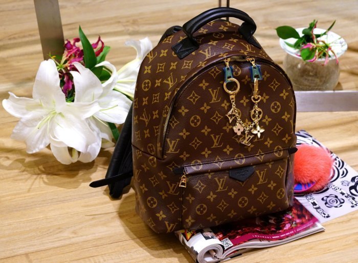 Louis Vuitton Palm Springs Backpack Mini M41562– TC