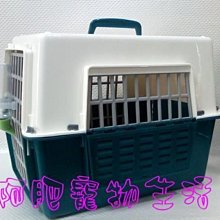 【阿肥寵物生活】雙色窗型寵物外出提籠-綠+白／犬˙貓皆適用