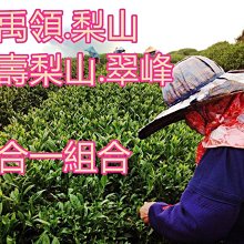 【茶葉館】112年春茶御選.福壽梨山.梨山翠峰.華崗.大禹嶺高冷凍霜茶.四合一試喝包.含運。