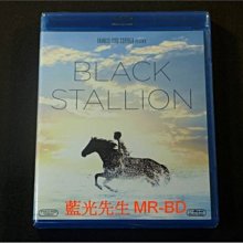 [藍光BD] - 黑神駒 The Black Stallion BD-50G - 細膩刻劃人與馬之間的真摯情誼