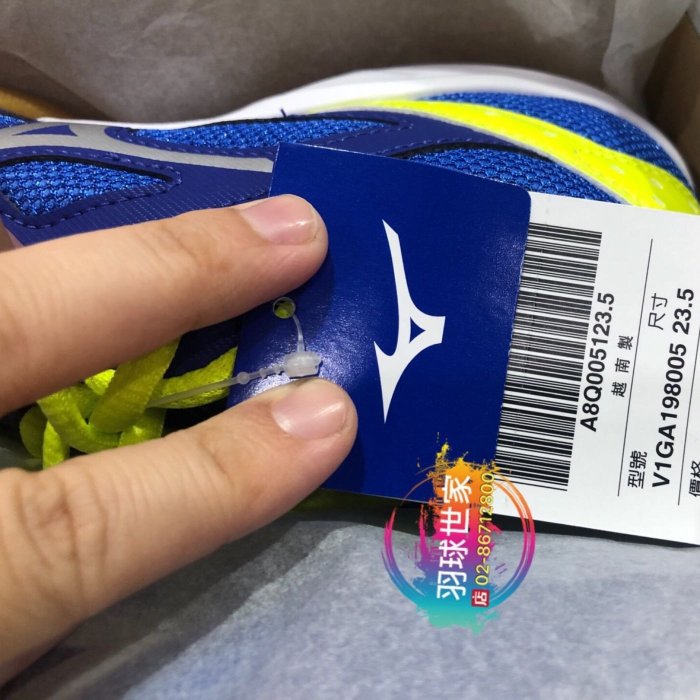 （羽球世家）現貨 美津濃 羽球鞋Mizuno 排羽鞋 排球鞋 藍螢光綠 25cm 中性 皆合適