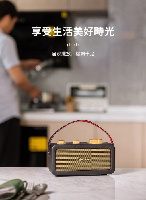 (現貨) 台灣公司貨 山進 SANGEAN RA-101 FM調頻 木質皮革 藍牙攜帶喇叭 RA101 視聽影訊