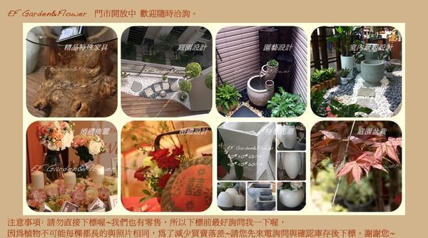 【EF Garden&Flower】四方格花器(多用途花器)