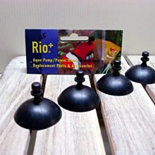 微笑的魚水族☆RIO-摩爾【沉水馬達專用吸盤(大) 4入】1700.2100.2500.3100．HF