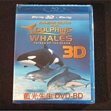 [3D藍光BD] - 海豚與鯨魚3D + 2D Dolphins & Whales - 全新 IMAX 3D電影技術