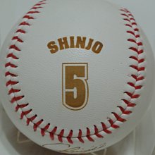 貳拾肆棒球--MLB美國大聯盟STEINER SPORTS 新庄剛志金色簽名球