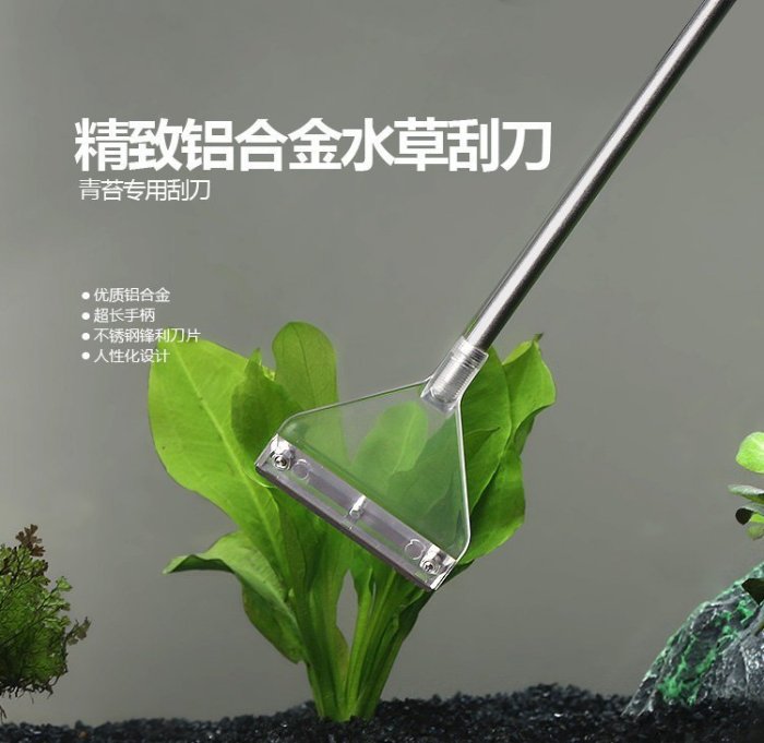 牧梵工具 水族用品《除藻刮刀 加寬(63mm)刀頭．-替換刀片-單片-ETB美易. WYIN萬引 鋁合金除藻刮刀等適用