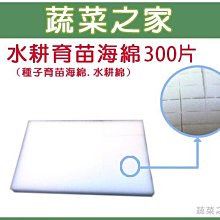 【蔬菜之家滿額免運】水耕育苗海綿.泡綿(1片內切96塊)300片※此商品運費請選宅配貨運※