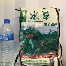芯晨花園桃園三民店 水苔水草 蘭花用 氣生根植物用 每單位十包