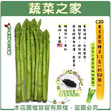 【蔬菜之家滿額免運】C20.青莖蘆筍種子1.1克(約50顆)(UC-800加州蘆筍)(長勢強健，生長整齊，嫩筍粗壯)