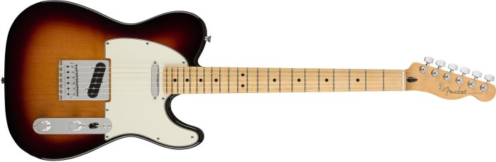 【硬地搖滾】分期0利率，Fender Player Telecaster 單單 電吉他 楓木指板 有多種顏色
