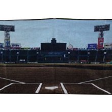 貳拾肆棒球-日本帶回日職棒阪神甲子園球場95周年記念事業兩面長毛巾