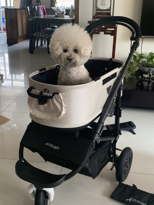 現貨 寵物推車日本代購air buggy for dog寵物推車寵物專用帶手剎包稅S M碼