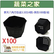 【蔬菜之家滿額免運】景天八角方型盆3.5吋(4號)-黑色100個/組