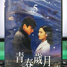 影音大批發-S43-031-正版VCD-韓劇【青春歲月 / 全10碟】-張東健 金賢珠 黃秀貞(直購價)