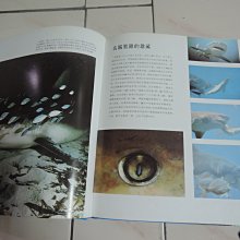 商品縮圖-6