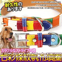【🐱🐶培菓寵物48H出貨🐰🐹】dyy》七彩條紋寵物帆布項圈M號3*50cm中型犬專用 特價129元