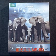 [藍光BD] - 永恆的生命脈動 ( 生命禮讚 ) Life Story BD-50G 雙碟版