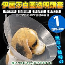 【🐱🐶培菓寵物48H出貨🐰🐹】dyy》伊麗莎白圈透明頭套1號74cm 特價159元(限宅配)