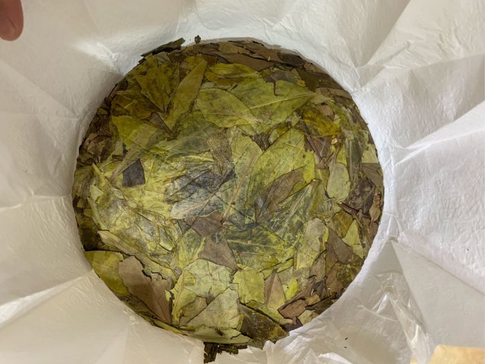 2017年 黃金葉 白茶 普洱茶 訂製品