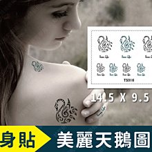 ㊣娃娃研究學苑㊣美麗天鵝紋身貼TS016 一次性防水紋身貼 水轉印貼紙 紋身貼紙(HM197)