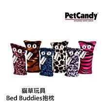 美國PetCandy 貓草玩具 Bed Buddies抱枕 耐磨 貓玩具 隨機出貨不挑款