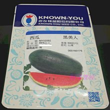 【野菜部屋~】R27 黑美人西瓜種子3粒 , 早生品種 , 品質優 , 每包15元 ~