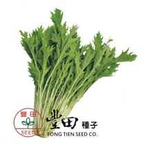 【野菜部屋~】E52 青箭京水菜種子50公克(約27500粒) , 分株力強，產量高 , 每包160元 ~
