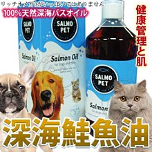 【🐱🐶培菓寵物48H出貨🐰🐹】來自挪威犬貓活力寶》深海鮭魚油-1000ml 特價1139元