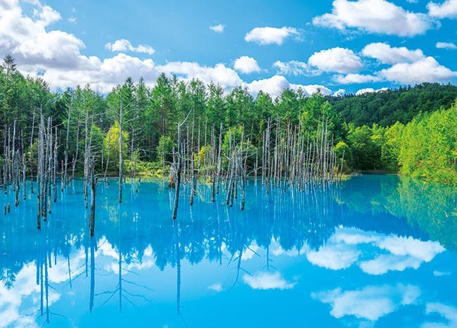 500-263 500片日本進口拼圖 風景 日本北海道 美瑛 青池