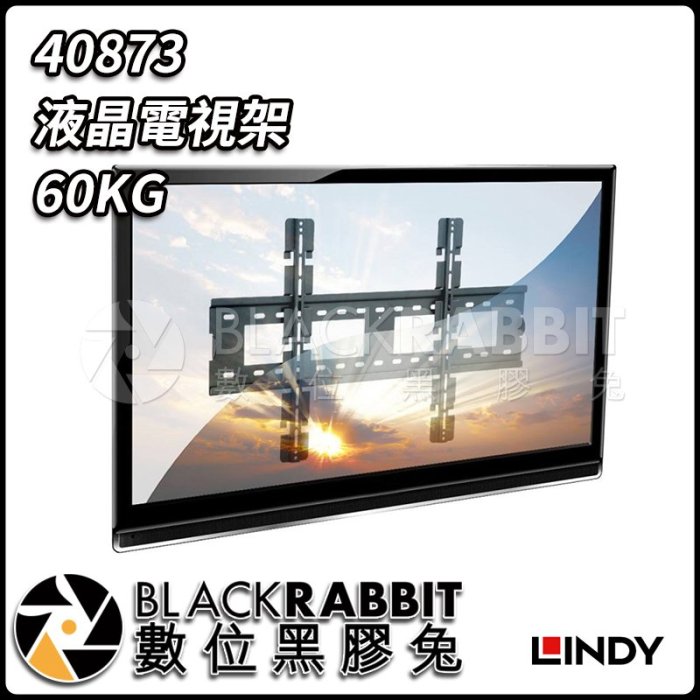 數位黑膠兔【 LINDY 林帝 40873 液晶電視 架 60KG 】 承重60kg 鐵 黑色烤漆 螢幕牆面距離2cm