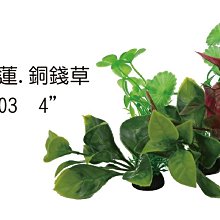 微笑的魚水族☆【假水草 /小榕.睡蓮.銅錢草 4吋】(1包6顆)E-2-TZ-403