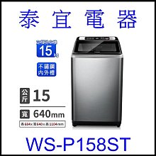 【本月特價】CHIMEI 奇美 WS-P158ST 定頻洗衣機 15KG 【另有NA-V150NM】