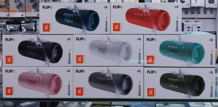 平廣 JBL FLIP6 FLIP 6 藍芽喇叭 正公司貨保1年 可防塵水 另售GO3 CHARGE TUNER2