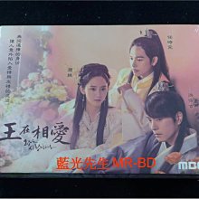 [DVD] - 王在相愛 The King in Love 1-20集 五碟版 ( 台灣正版 )