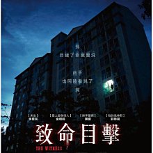 【藍光電影】致命目擊 / 目擊者 / 목격자 (2018)